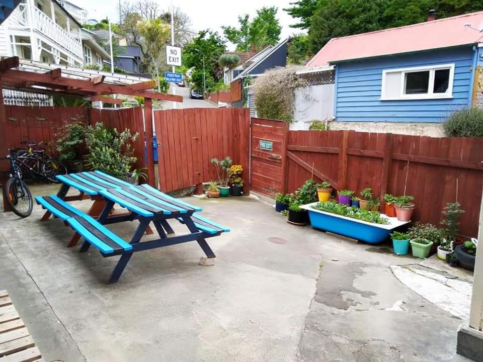 Crashpalace Backpackers Napier Dış mekan fotoğraf