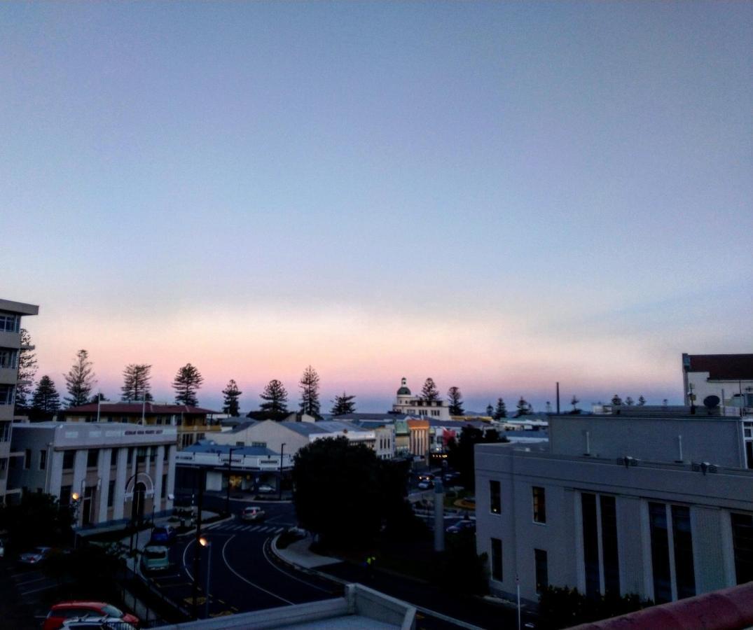 Crashpalace Backpackers Napier Dış mekan fotoğraf